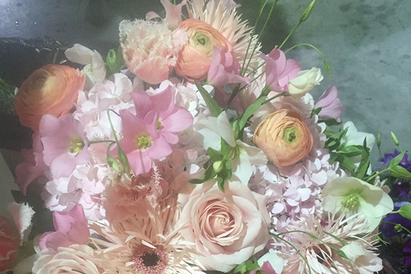 Kerstin Keim Blume Bruchköbel