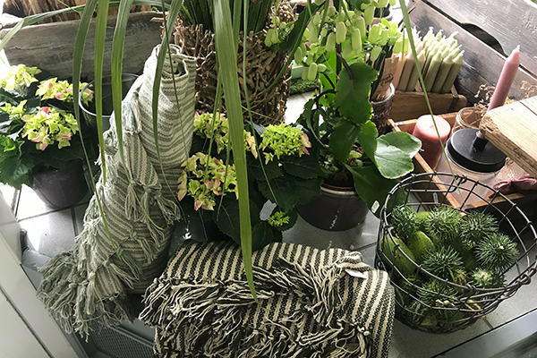 Kerstin Keim Blume Bruchköbel