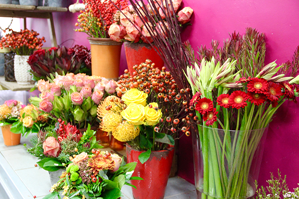 Kerstin Keim Blume Bruchköbel