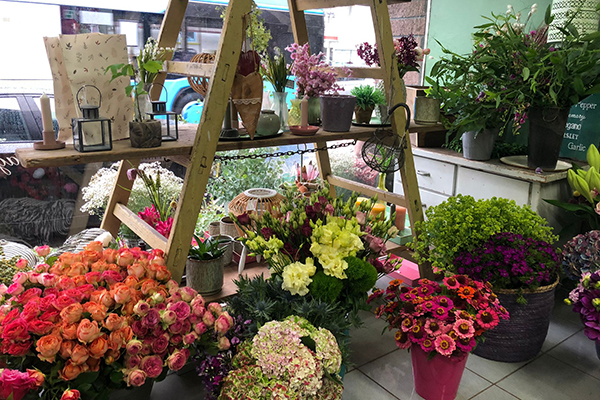 Kerstin Keim Blume Bruchköbel