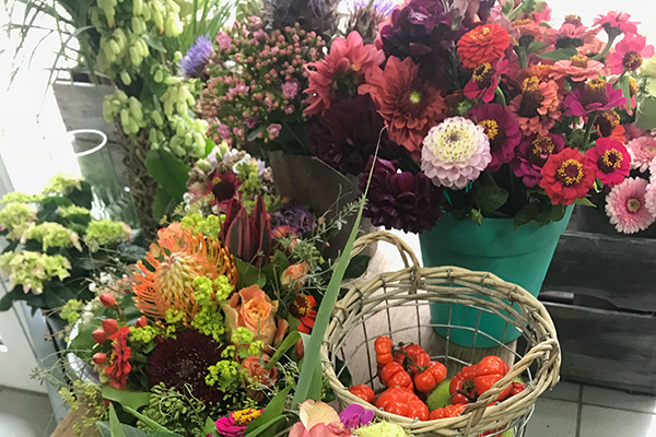 Kerstin Keim Blume Bruchköbel