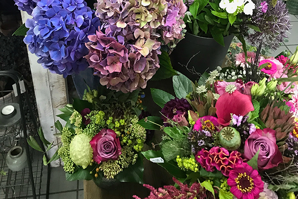 Kerstin Keim Blume Bruchköbel