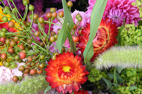 Kerstin Keim Blume Bruchköbel