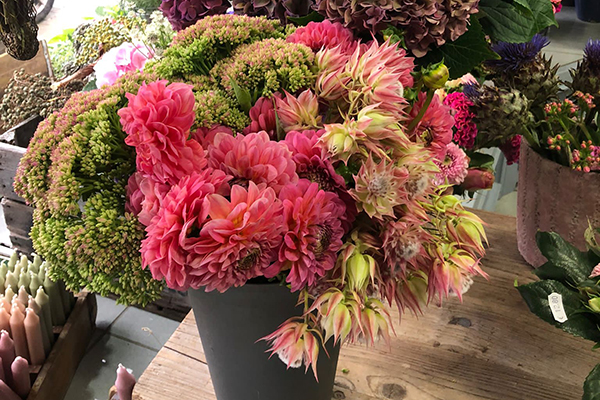 Kerstin Keim Blume Bruchköbel