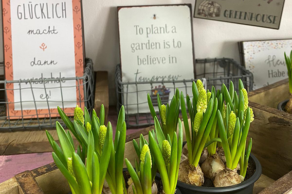 Kerstin Keim Blume Bruchköbel