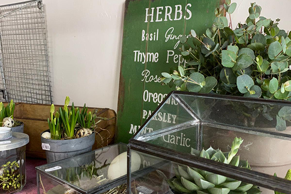 Kerstin Keim Blume Bruchköbel