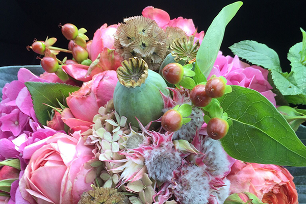 Kerstin Keim Blume Bruchköbel