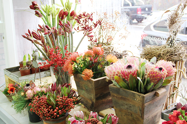 Kerstin Keim Blume Bruchköbel