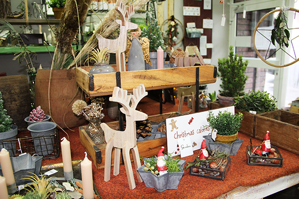 Kerstin Keim Blume Bruchköbel